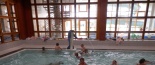 Plav�n�