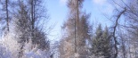 Zima v parku a bobov�n�