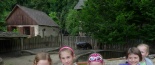 V�let do ZOO Jihlava