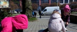 Den Zem�