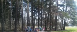 Projekt lexikon lesn�ch sk��tk� - 3.vych�zka