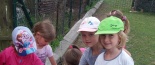 Cesta za zv���tky do Borov� u Poli�ky